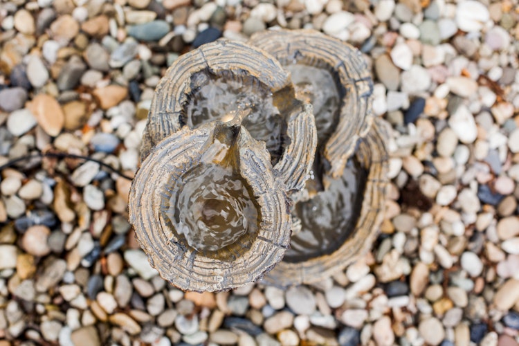Heissner Gartenbrunnen "Baumstümpfe" (016585-00)