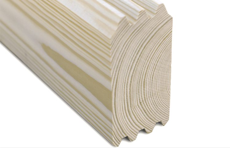 Skan Holz 70 mm Blockbohlenhaus Toronto 1