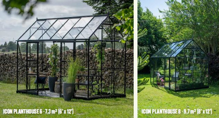 Halls Gewächshaus Icon Pflanzenhaus 6/8 - 7,3 m² / 9,7 m²