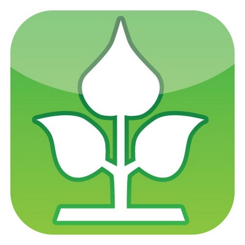 Noor Weiden-Paravent