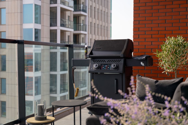 NAPOLEON Elektrogrill Rogue EQ 365, Mattschwarz 