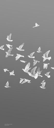 Griffwerk Glasdrehtür (ESG) BIRDS&BIRD 695 ESG BASIC GREEN matt 834x1972x8mm Studio/Office DIN L