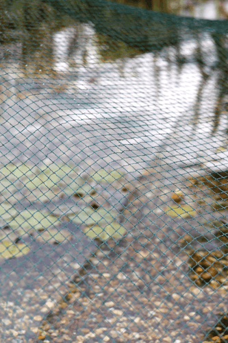 Oase AquaNet Teichnetz 1