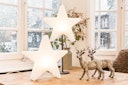 Vorschaubild 8 seasons design LED-Dekoleuchte Shining Star Ø 30 cm (WW)