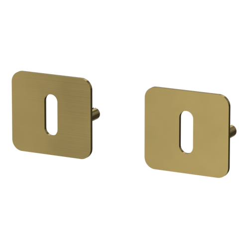 Griffwerk Schlüsselrosettenpaar ONE abgerundet Buntbart Flachrosette Gold matt