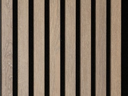 HANDMUSTER MEISTER Akustikpaneele Acoustic Sense 7033 Eiche multicolor