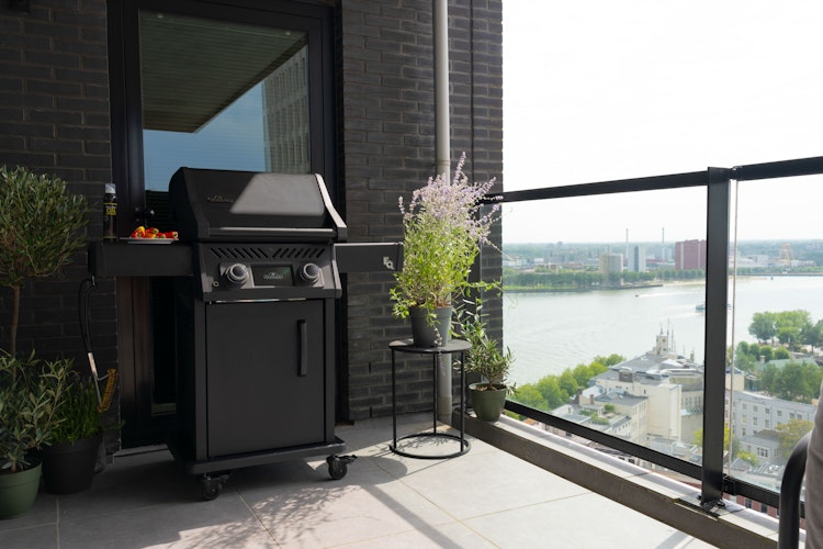 NAPOLEON Elektrogrill Rogue EQ 365, Mattschwarz 