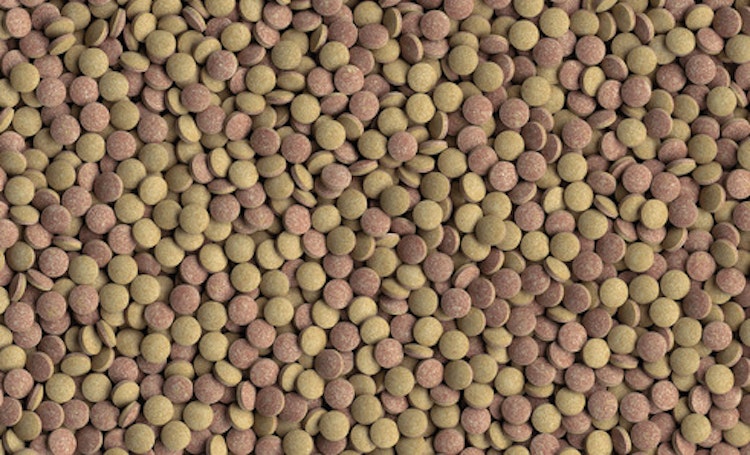 Tetra Tablets TabiMin