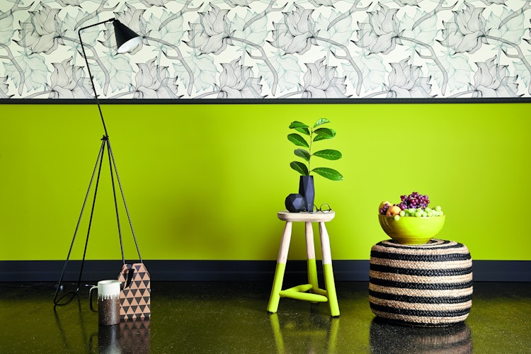 colourcourage® Premium Wandfarbe matt Moutarde Verte