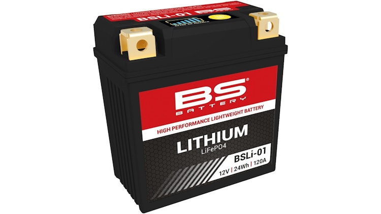 BS-Battery LiFePO4 Batterie wartungsfrei
