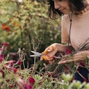 Vorschaubild Fiskars Classic Universalschere 18 1000555