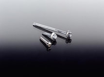 T&J Edelstahlschraube 4,8 x 32 mm, TX-AntriebZubehörbild