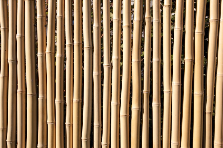 TraumGarten Bambu 179x179 cm