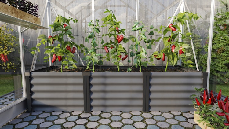 Vitavia Hochbeet Meta IN&OUT 401 S 65 x 185 cm