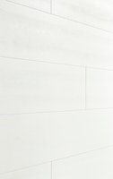 AUSLAUFARTIKEL MEISTER Dekorpaneele MeisterPaneele. terra DP 250 / Mountain Wood white 4205
