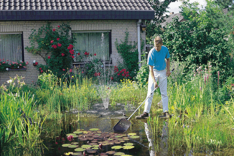 Oase Algenkescher groß