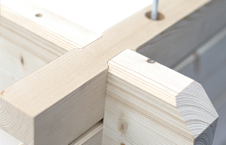 Skan Holz 45 mm Blockbohlenhaus Arosa