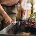 Vorschaubild Fiskars Solid Säkelle 1057641