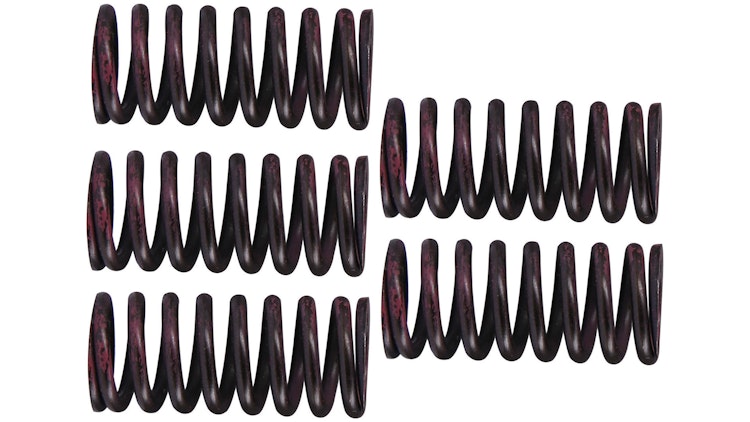 TRW Kupplungsfedernsatz MEF316-5