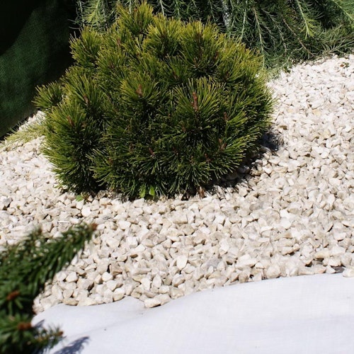 Noor Unkrautblocker weiß 105 gr/m² 0,90 x 10 m