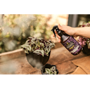 Vorschaubild Restberry´s Neemöl