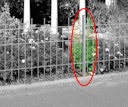 Vorschaubild Alberts® Zaunsystem Madrid Zaunfeldpfosten zum Anschrauben