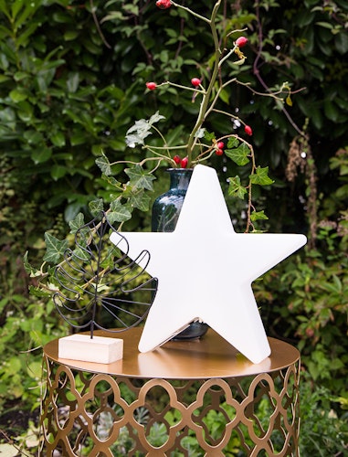 8 seasons design LED-Dekoleuchte Shining Star Ø 30 cm (WW)