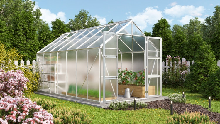 Vitavia Gewächshaus Domus 11500 inkl. 4 Dachfenstern - 11,5 m²