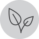 Vorschaubild WMF Perfection Premium Flüssig Entkalker