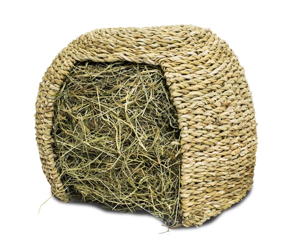 JR FARM Gras-Iglu Kleintiersnack