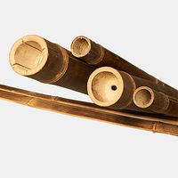 BambusBASIS Bambusrohr