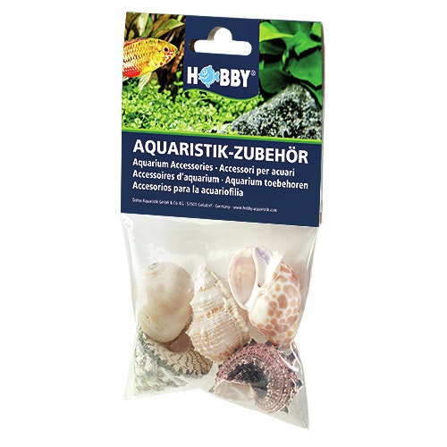HOBBY Natur Sea Shells Aquarieneinrichtung