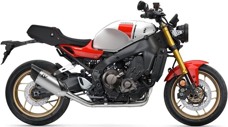 LEOVINCE Schalldämpfer Komplettanlage mit Katalysator SBK LV-14 R für Yamaha MT09 und XSR