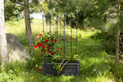 KHW Calypso Pflanzkasten auf Rollen mit Bewässerungssystem + modularem SpalierZubehörbild