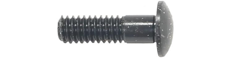 Campagnolo Nippeleinsatz Bullet/Bullet Ultra schwarz
