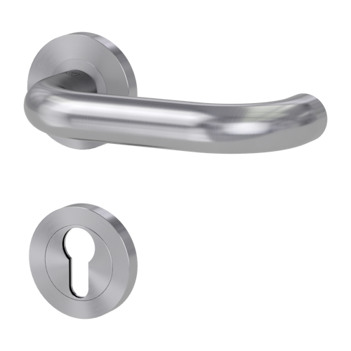 Griffwerk ALESSIA PROFESSIONAL Schraubtechnik FS -Edelstahl matt  Rosettengarnitur -Schraubt. -PZ -Stift 9mm -TS 38-50mm