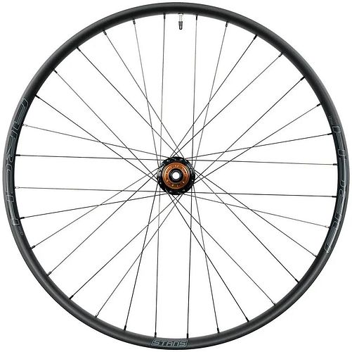 Stan's NoTubes Laufrad ARCH MK4 29 Zoll Hinterrad schwarz/grau