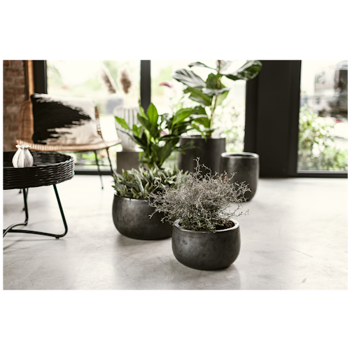Vosteen Design Blumentopf /  Pflanzgefäß Terrakotta schwarz ø 30 cm x H 18 cm