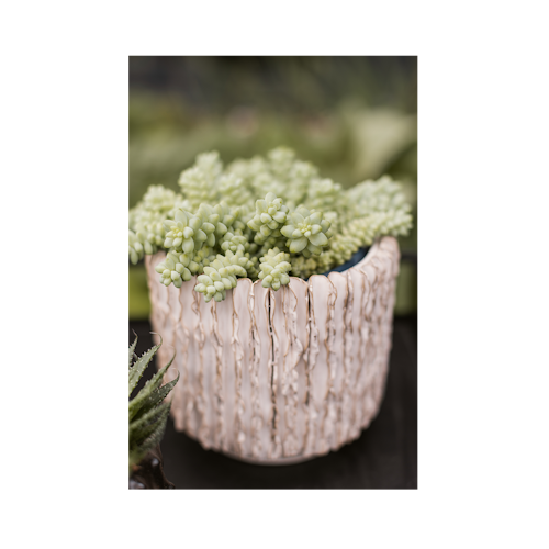 Plant Pot Senja