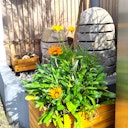 Vorschaubild BambusBASIS Steinlampe - handgefertigt