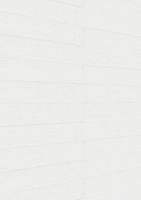 MEISTER Dekorpaneele MeisterPaneele. tertio DP 200 20127 Silver linings alle Längen