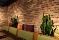  DE RYCK Eck- und Steinriemchen - Granulit