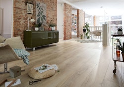 AUSLAUFARTIKEL MEISTER  Laminatboden MeisterDesign. laminate LL 250 / LL 250 S  Schlosseiche pure 6840