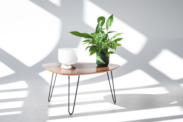 QFlame Feuerschale Set Table Concrete Ø 20 cm