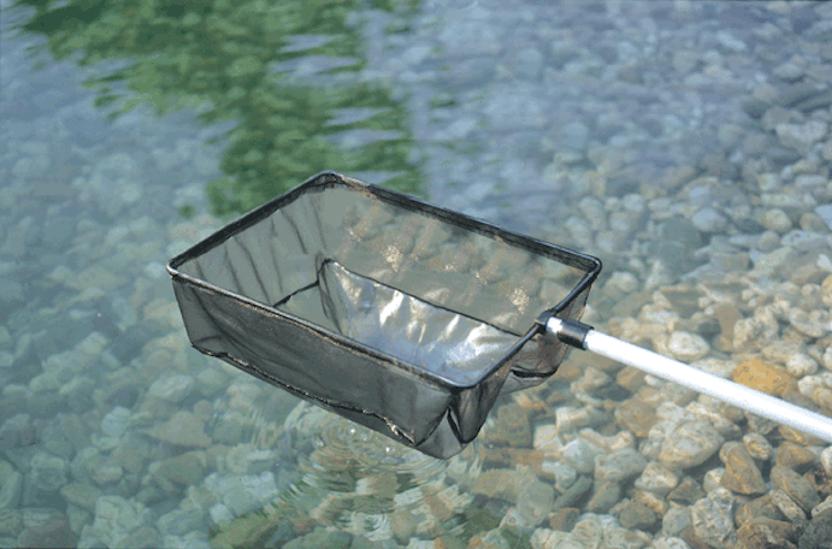 Oase Algenkescher groß