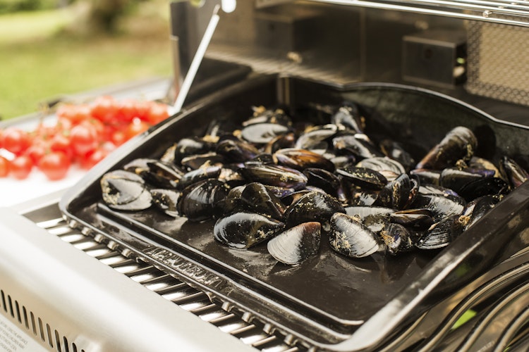 NAPOLEON Gusseiserne Grillplatte Plancha (56090)