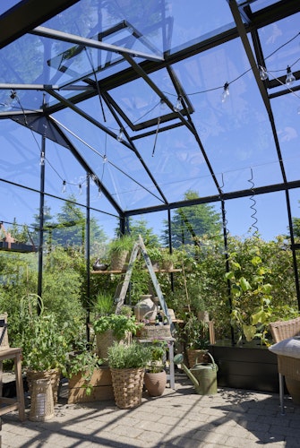 Juliana Gewächshaus Jubii 10,9 m² inkl. gratis Fundamentrahmen im Wert von 449 €