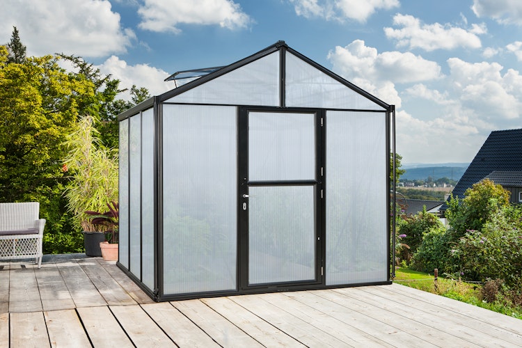 Vitavia Gewächshaus Zeus 6200 inkl. 2 Dachfenstern - 6,2 m²