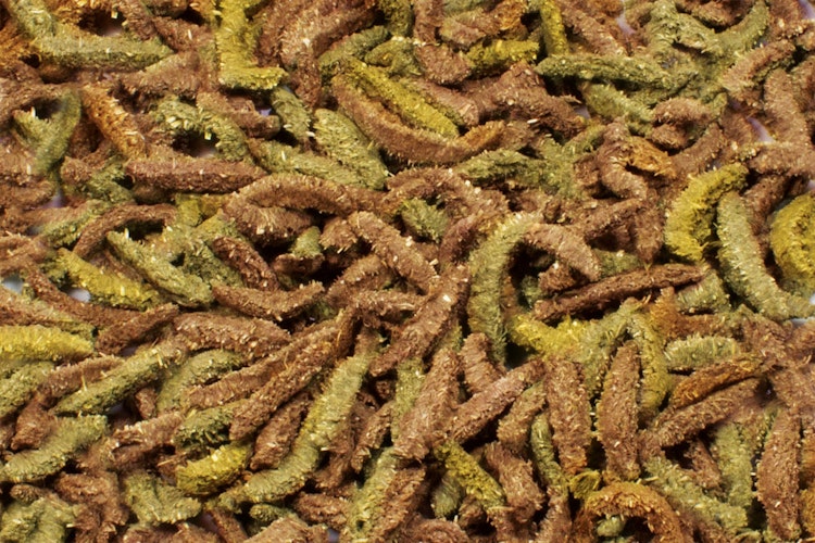 JR FARM Grainless Health Complete Meerschweinchen Kleintierfutter