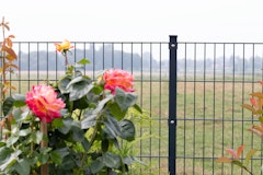 dz Doppelstab-Zaunset MORITZ 6/5/6 mit Pfosten VAPZubehörbild